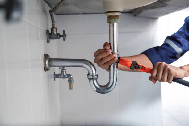 Best Local Plumber Services  in Bogata, TX